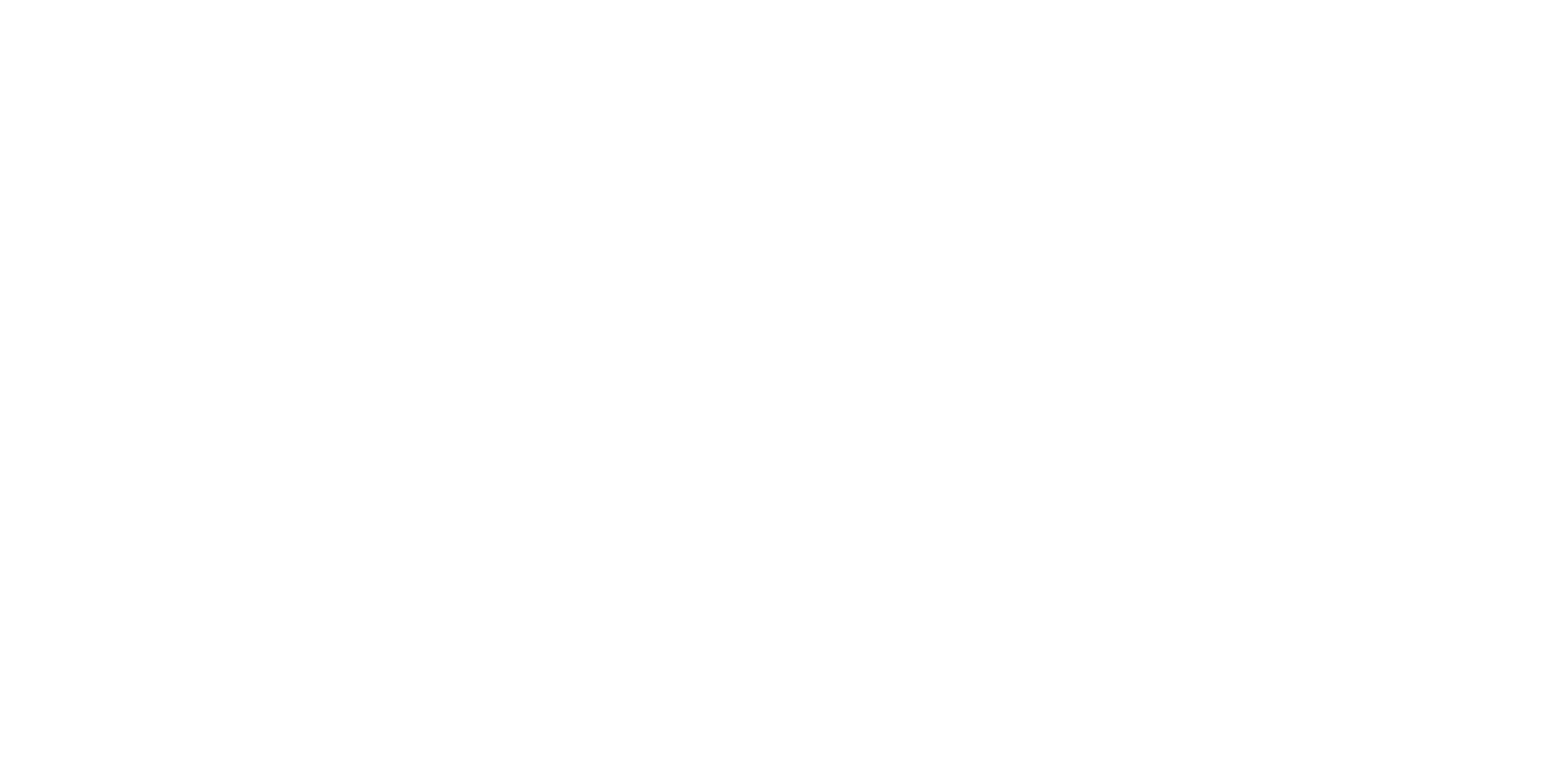 NV Casino